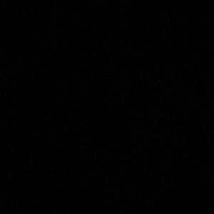 Meet your Posher, Antwon